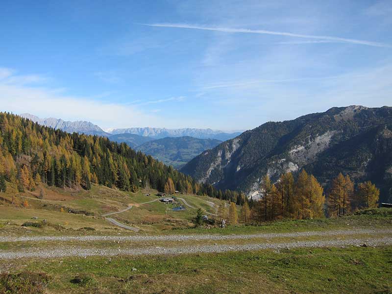 Bernkogel